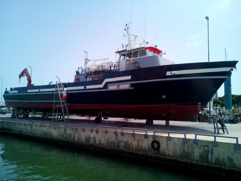 AR-C1564