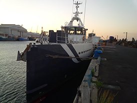 Fast Patrol Boat / Built 2012 / 33m / 3300bhp / 14 pax